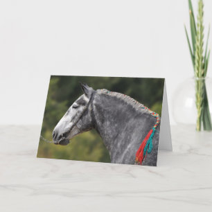 Dapple grey Percheron horse birthday Card