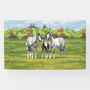 Dapple Grey Pinto Paint Horses In Summer Pasture Banner