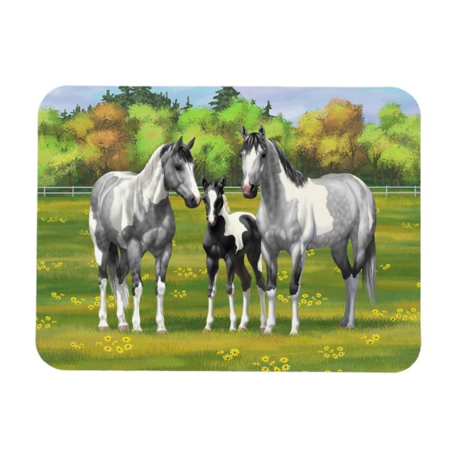Dapple Grey Pinto Paint Horses In Summer Pasture Magnet (Horizontal)