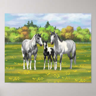 Dapple Grey Pinto Paint Horses In Summer Pasture Poster