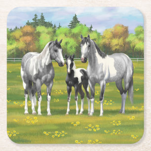 Dapple Grey Pinto Paint Horses In Summer Pasture Square Paper Coaster
