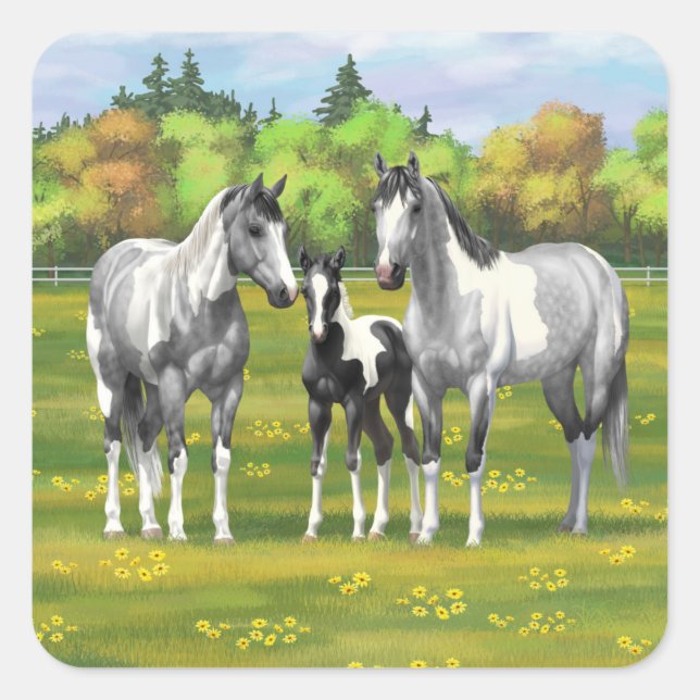 Dapple Grey Pinto Paint Horses In Summer Pasture Square Sticker (Front)