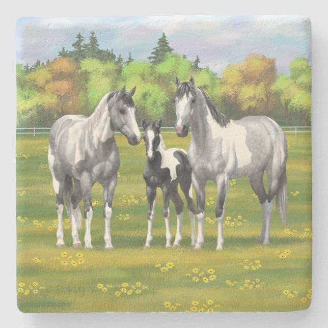 Dapple Grey Pinto Paint Horses In Summer Pasture Stone Coaster (Front)