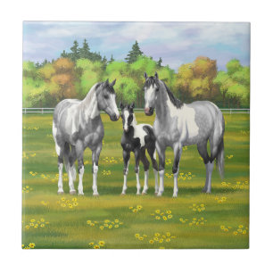 Dapple Grey Pinto Paint Horses In Summer Pasture Tile