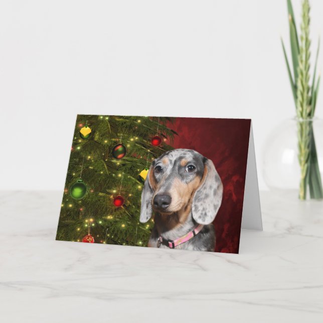 Dappled Dachshund Christmas Holiday Card (Front)