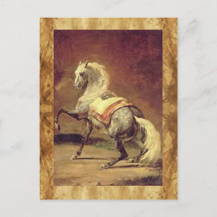 DAPPLED GREY HORSE POSTCARD