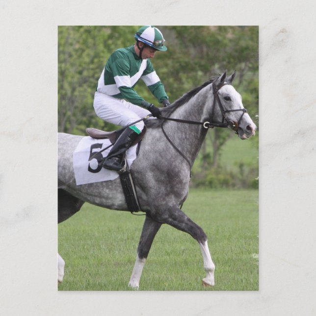 Dappled Grey Race Horse Postcards (Front)