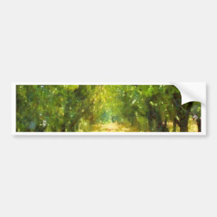 Dappled Light of Day Dreams Tree Avenue Art Bumper Sticker
