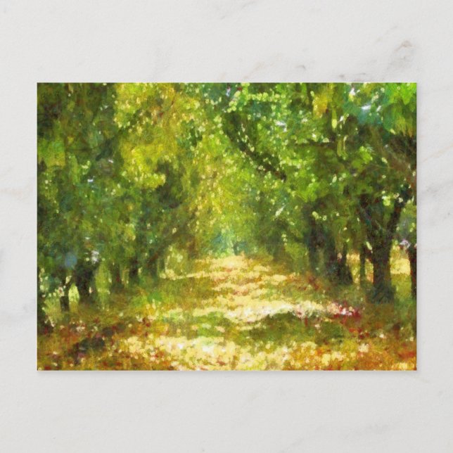 Dappled Light of Day Dreams Tree Avenue Art Postcard (Front)