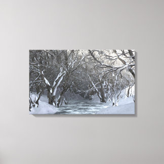 Dapplewood (Winter) Canvas Print