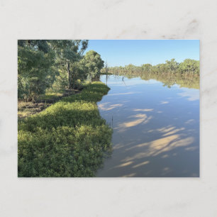 Darby Land Bridge on the Warrego River Postcard