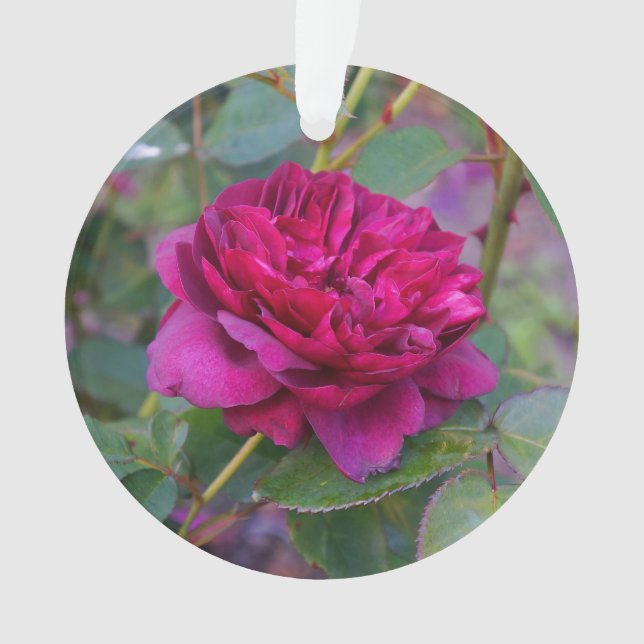 Darcey Bussell Rose #1 Ornament (Front)