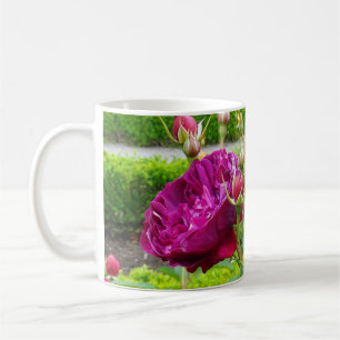 Darcey Bussell Rose #3 Mug