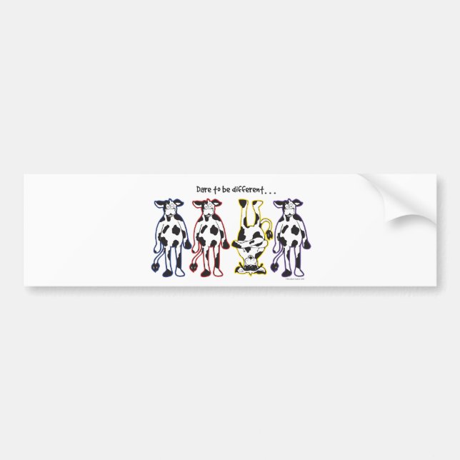 Dare to be Different Cows Bumper Sticker (Front)