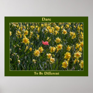 Dare To Be Different Daffodils   Poster