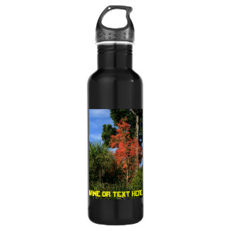 Dare to be Different - Show off your true colours 710 Ml Water Bottle