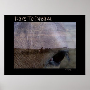 Dare to Dream Poster