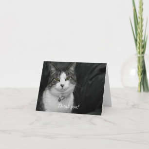 Dare to Look Into My Green Eyes Thank You Card