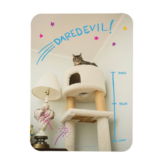 Daredevil Cat Magnet (Vertical)
