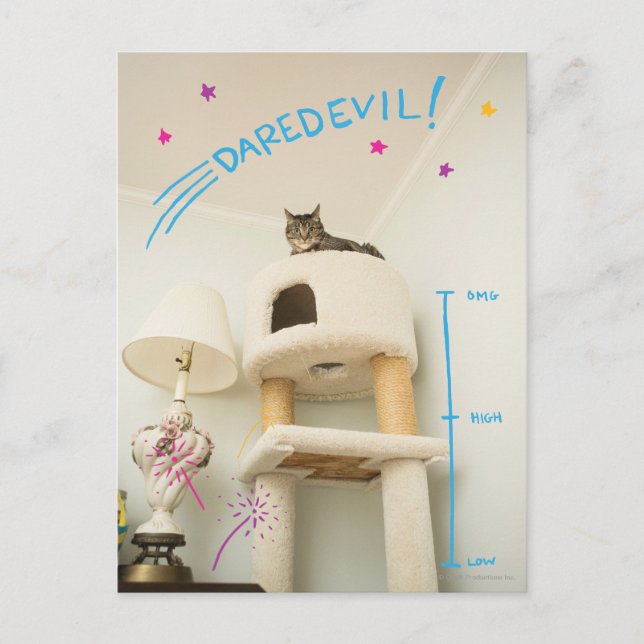 Daredevil Cat Postcard (Front)