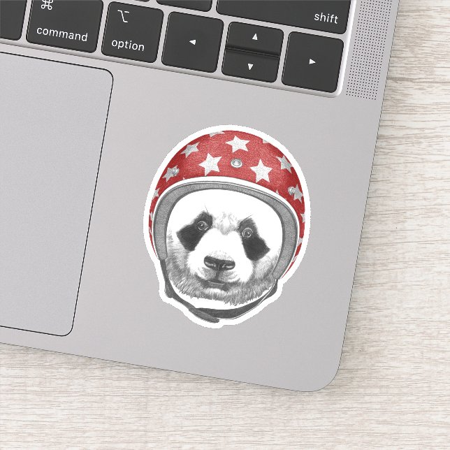 Daredevil Panda (Detail)