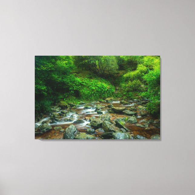 Dargle River Canvas Wall Art | Ireland Lush Forest (Front)