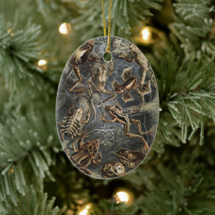 Dark Academia Haeckel Vintage Frog Nature Print Ceramic Tree Decoration