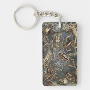 Dark Academia Haeckel Vintage Frog Nature Print Key Ring