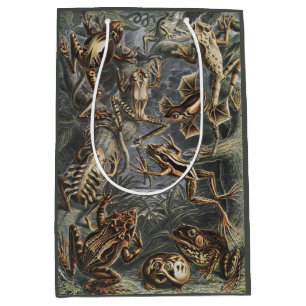 Dark Academia Haeckel Vintage Frog Nature Print Medium Gift Bag