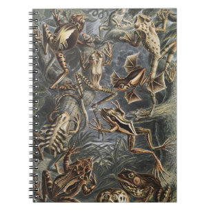 Dark Academia Haeckel Vintage Frog Nature Print Notebook