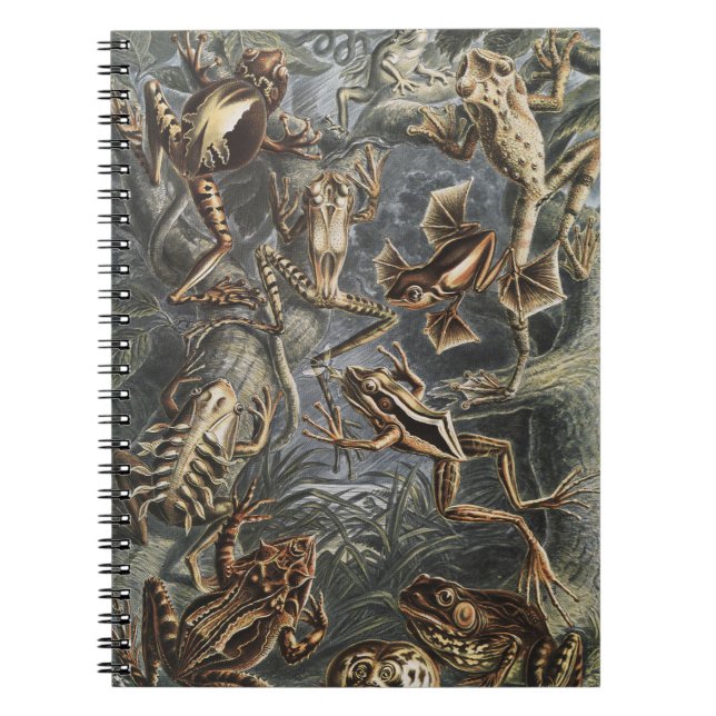 Dark Academia Haeckel Vintage Frog Nature Print Notebook (Front)