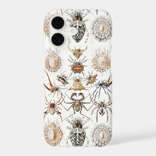 Dark Academia Haeckel Vintage Spider Symmetry Art