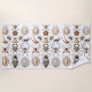 Dark Academia Haeckel Vintage Spider Symmetry Art Beach Towel