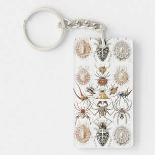 Dark Academia Haeckel Vintage Spider Symmetry Art Key Ring