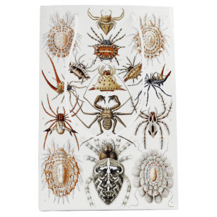 Dark Academia Haeckel Vintage Spider Symmetry Art Medium Gift Bag