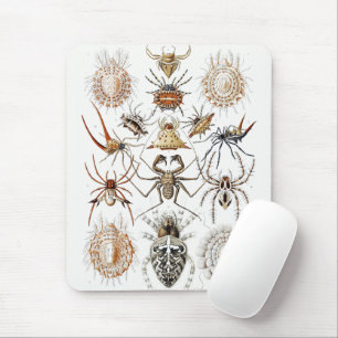 Dark Academia Haeckel Vintage Spider Symmetry Art Mouse Mat