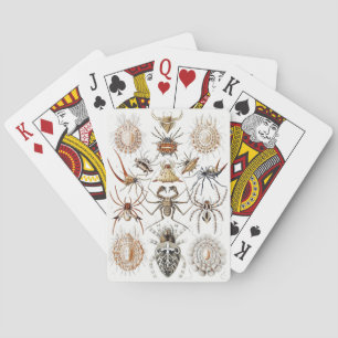 Dark Academia Haeckel Vintage Spider Symmetry Art Playing Cards