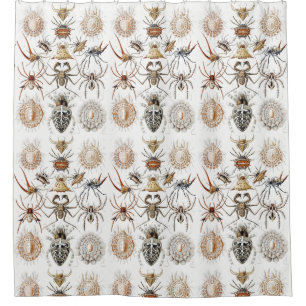 Dark Academia Haeckel Vintage Spider Symmetry Art Shower Curtain