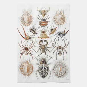 Dark Academia Haeckel Vintage Spider Symmetry Art Tea Towel