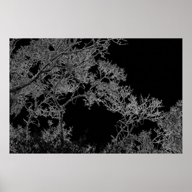 Dark Art Crows in a Tree poster by J.W. Fatherree. (Front)