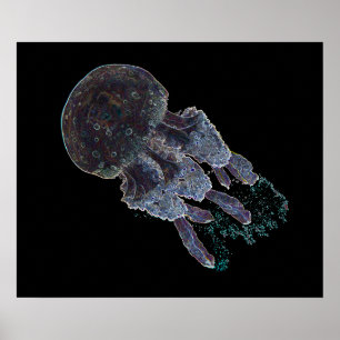 Dark Art Jellyfish poster by J.W. Fatherree.