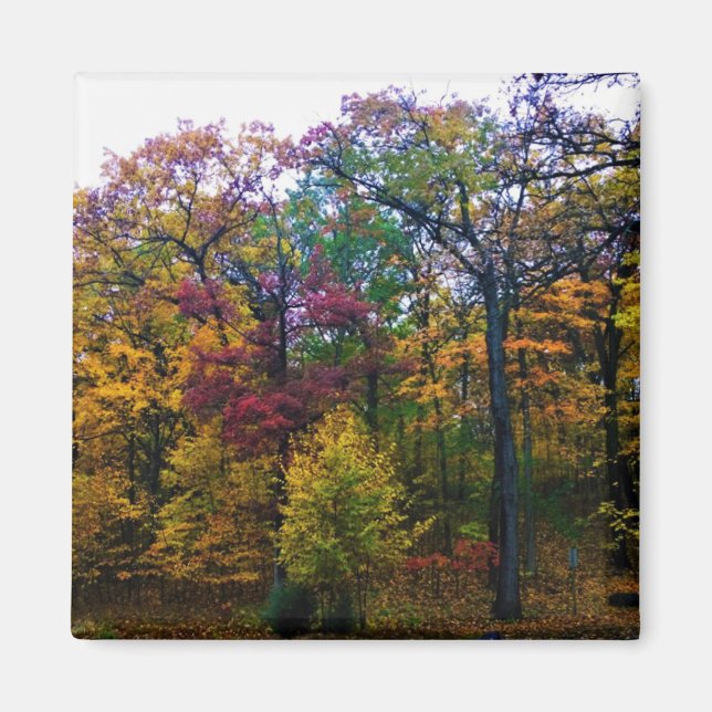 Dark Autumn Forest Magnet (Front)