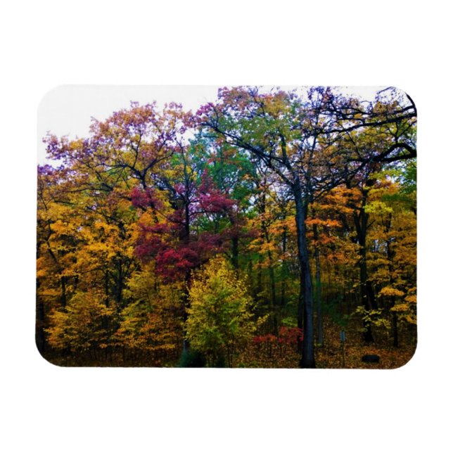 Dark Autumn Forest Magnet (Horizontal)