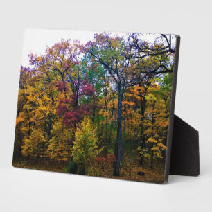 Dark Autumn Forest Plaque