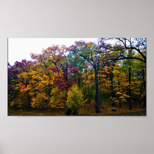 Dark Autumn Forest Poster