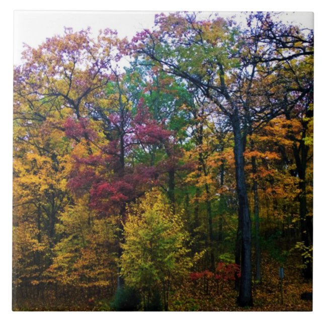 Dark Autumn Forest Tile (Front)