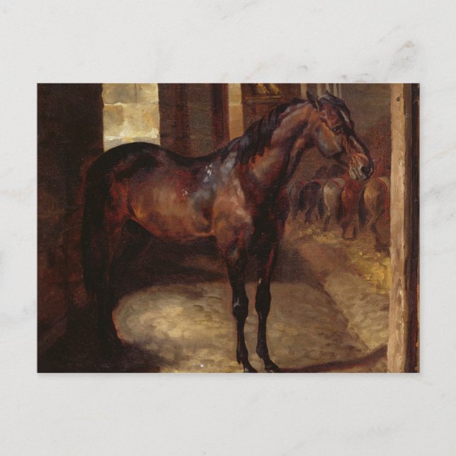 Dark Bay Horse in the stable Postcard (Front)