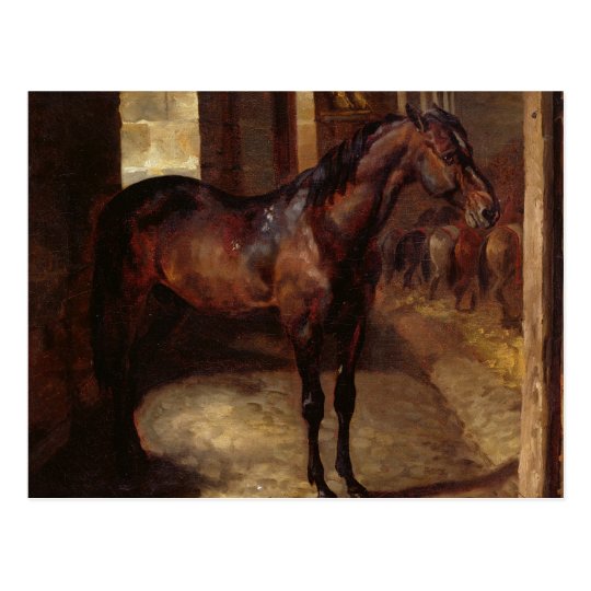 Dark Bay Horse in the stable Postcard