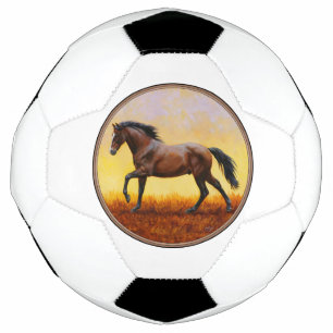 Dark Bay Stallion Horse Galloping Football