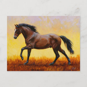 Dark Bay Stallion Horse Galloping Postcard
